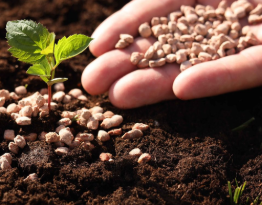 PROGRAMA DE FERTILIZACIÓN Y ABONAMIENTO TÉCNICO POR CULTIVO